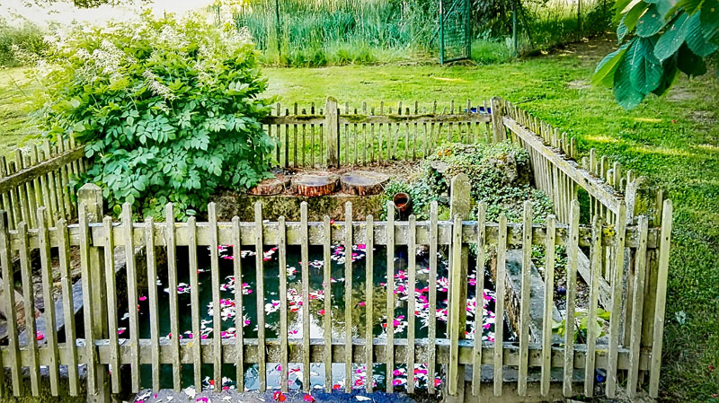 Brunnen-Teich
